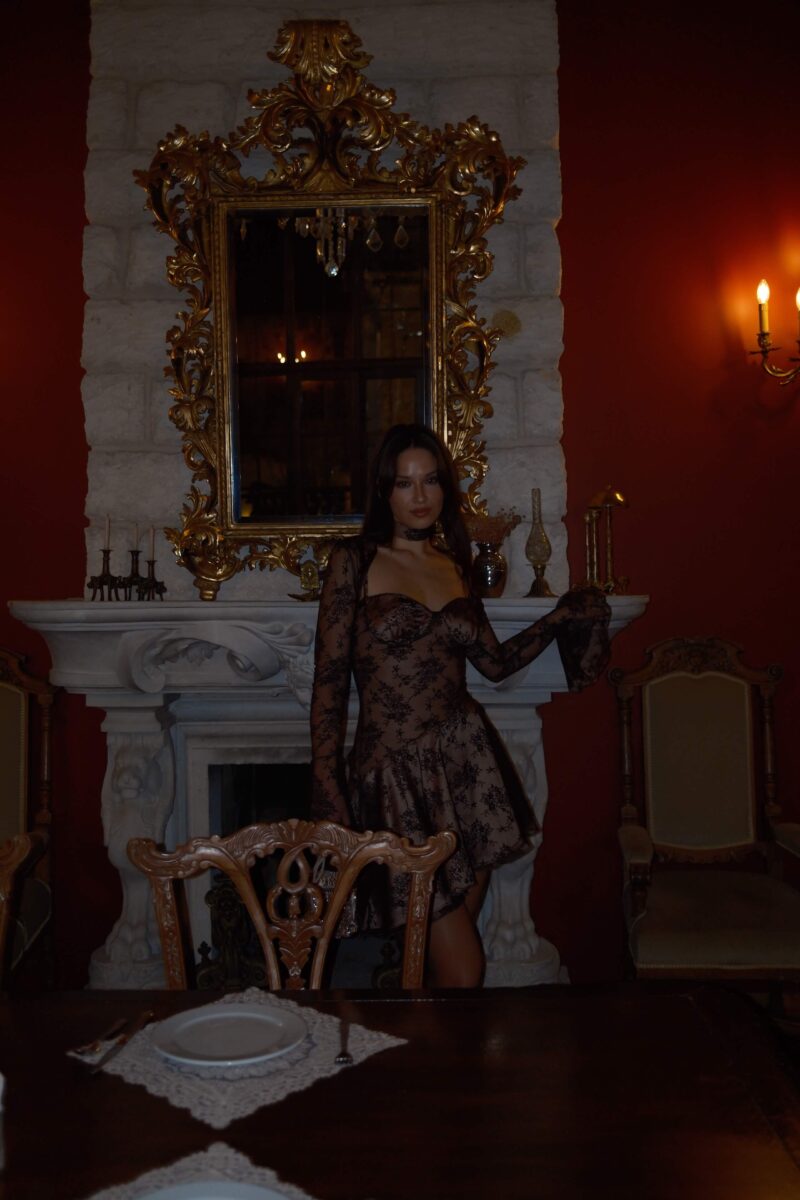 Aksheya Brown Cat Energy Dress & Bolero 7